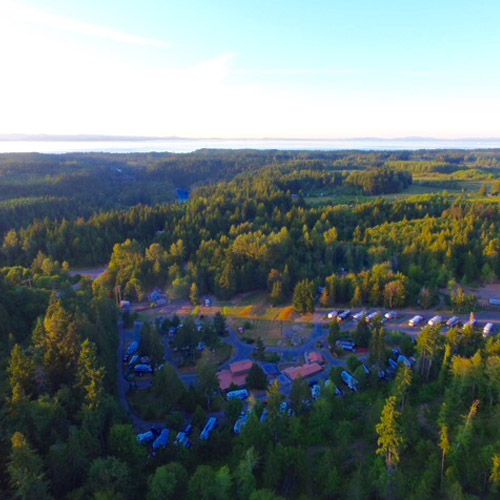 Forest to the Strait