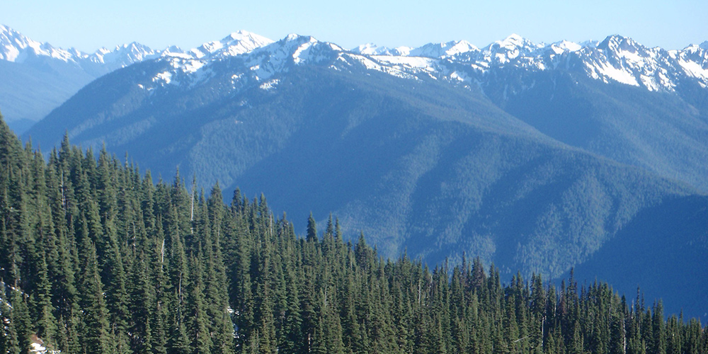 Hurricane Ridge