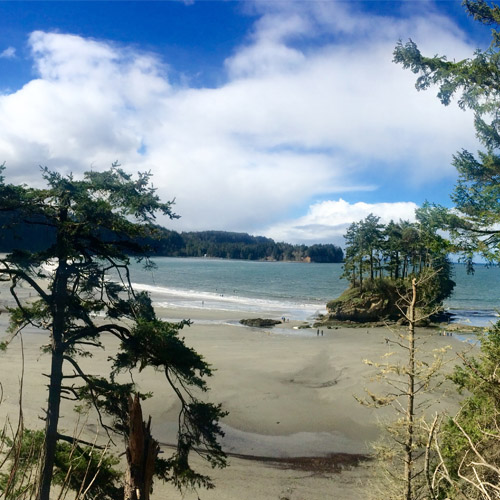 Tidewater Cove
