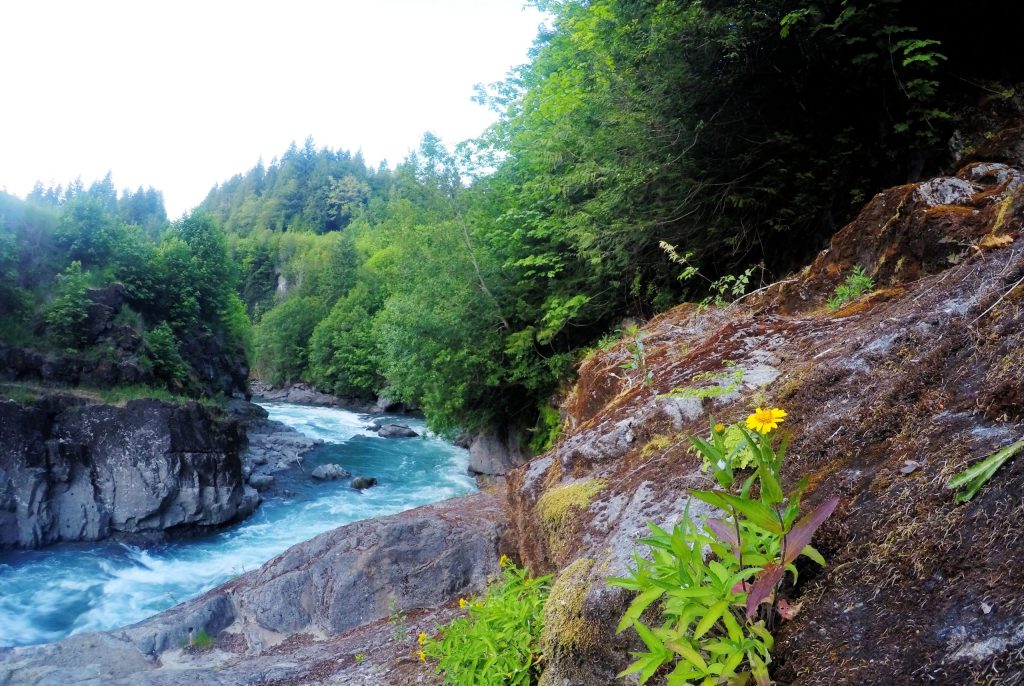 Elwha River Valley