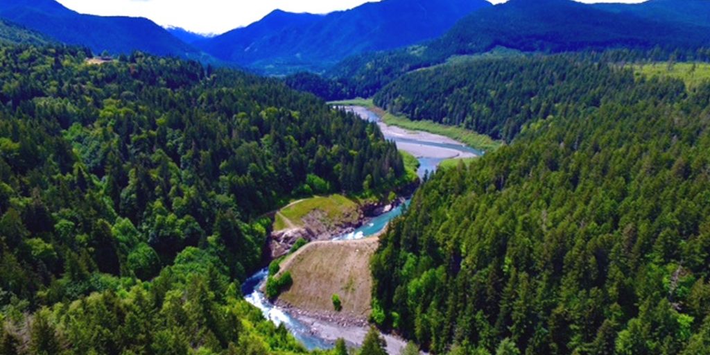 Aerial view of the Elwha River canyon and forest